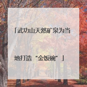 武功山天然矿泉为当地打造“金饭碗”